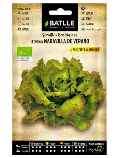 LECHUGA MARV.VERANO-ECO