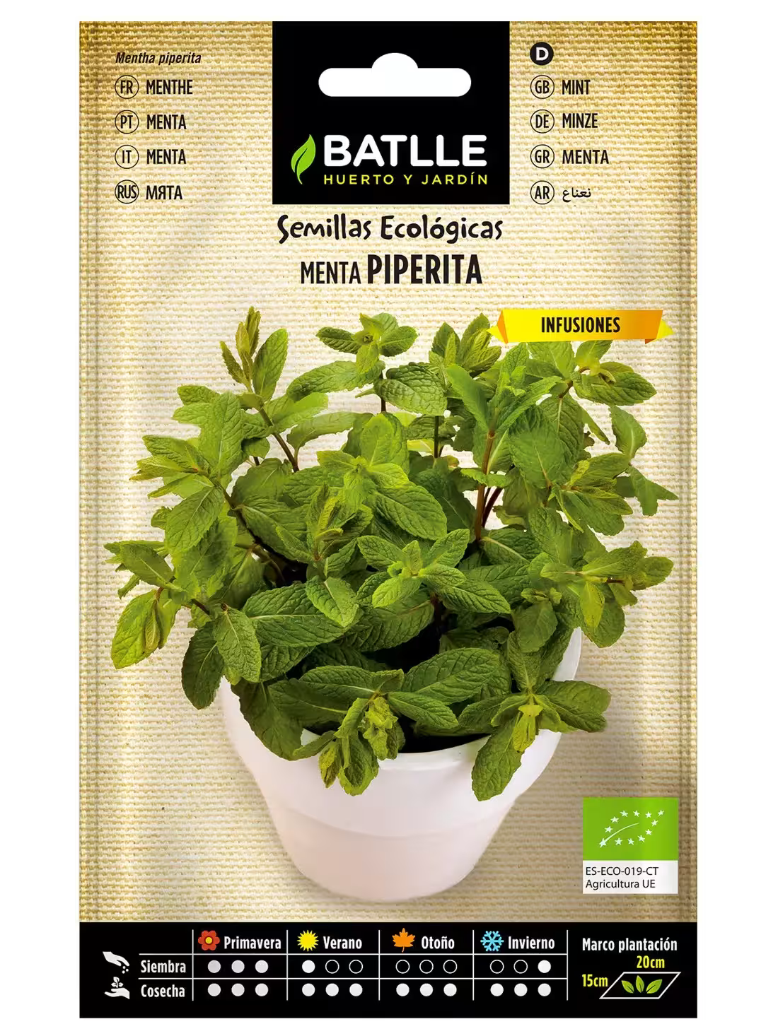 MENTA-ECO
