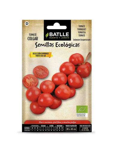 TOMATE COLGAR ECO