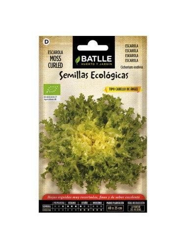 ESCAROLA CABELLO ANGEL MOSS CURLED ECO