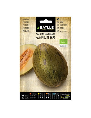 MELON PIEL DE SAPO - ECO