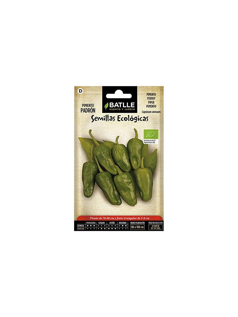 PIMIENTO PADRON ECO