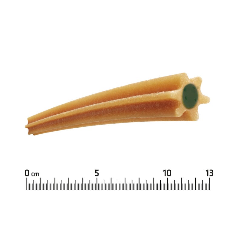 ADS DENTAL STICK 180GR