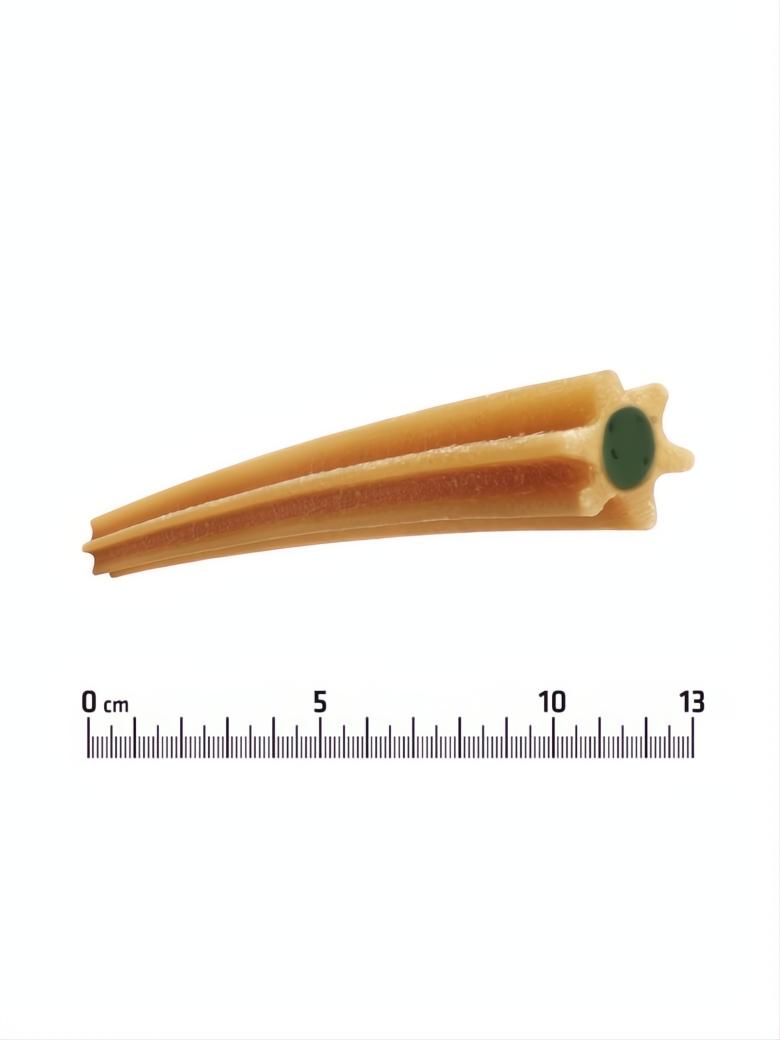 ADS Dental Stick, beige, star-shaped, with a green center, shown with a ruler for scale.
