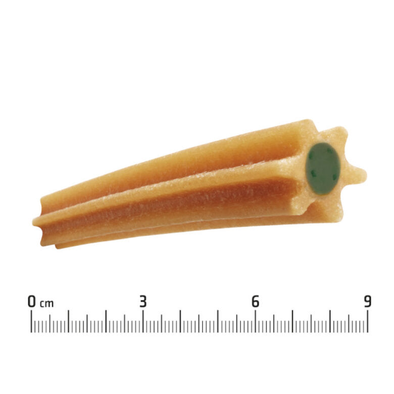 ADS DENTAL STICK MINI 90GR