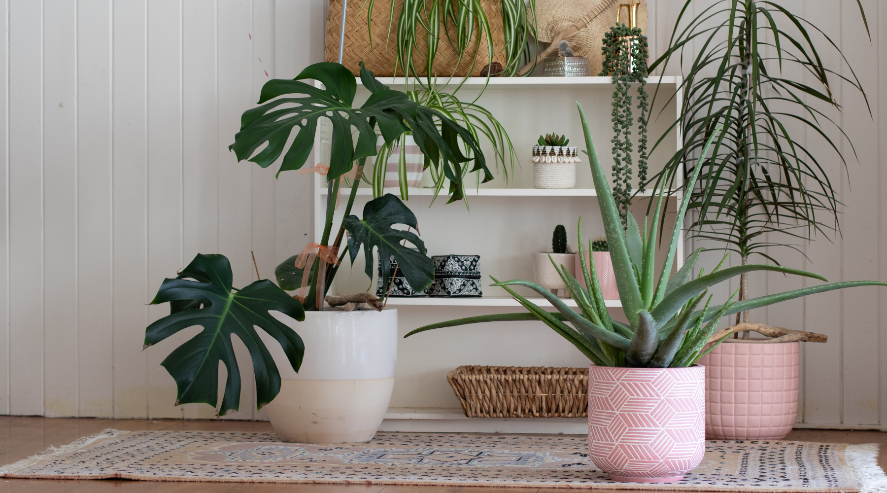 Cómo mantener tus plantas a salvo durante tus vacaciones