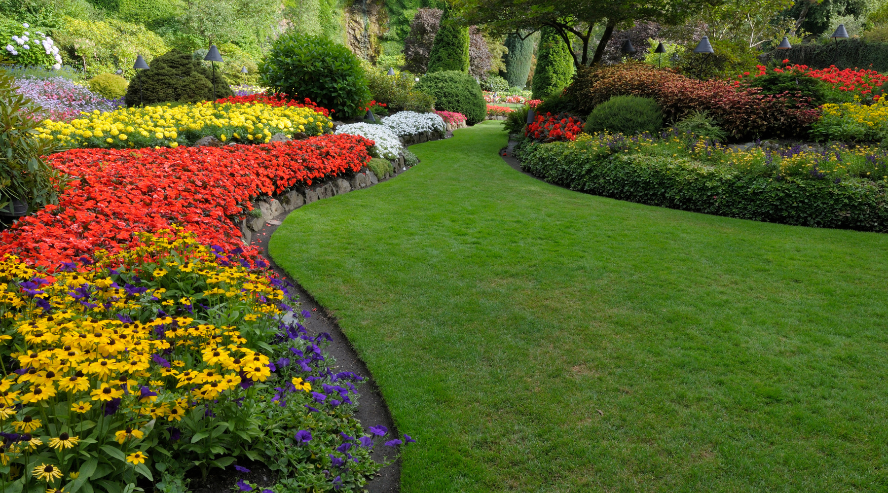 Errores comunes en jardinería