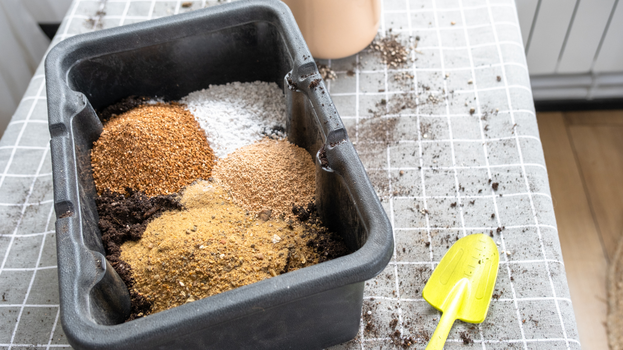 Sustrato para plantas: cómo elegir la mejor mezcla según cada tipo
