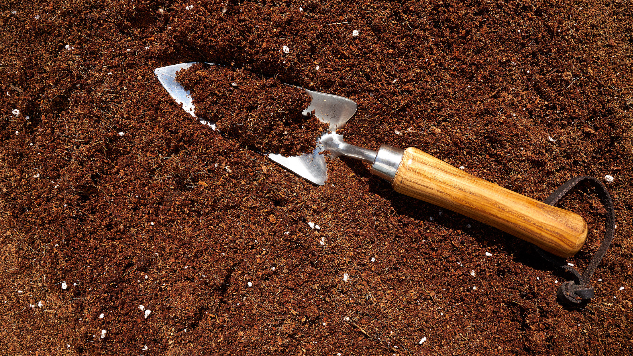 TIERRAS Y SUSTRATOS Y CORTEZAS