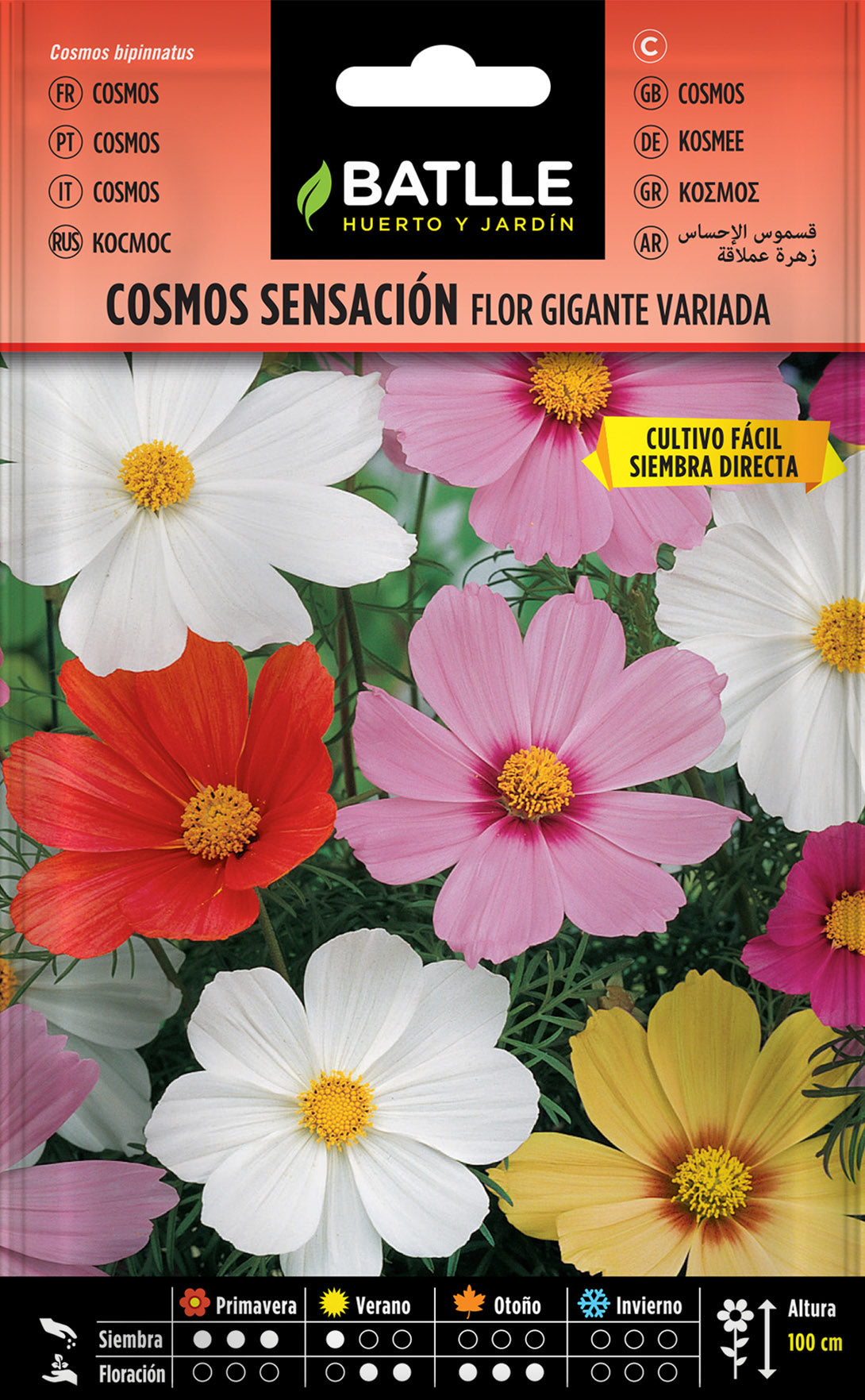 COSMOS SENSACION FLOR GIGANTA