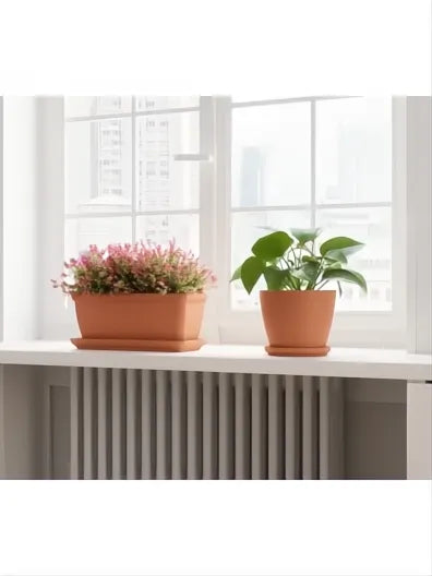 PLATO REDONDO 31CM NATURAL