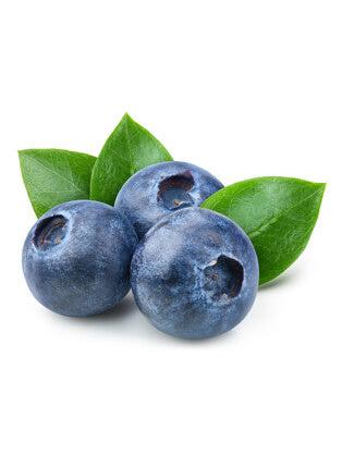 ARANDANO VARIEDADES 3L