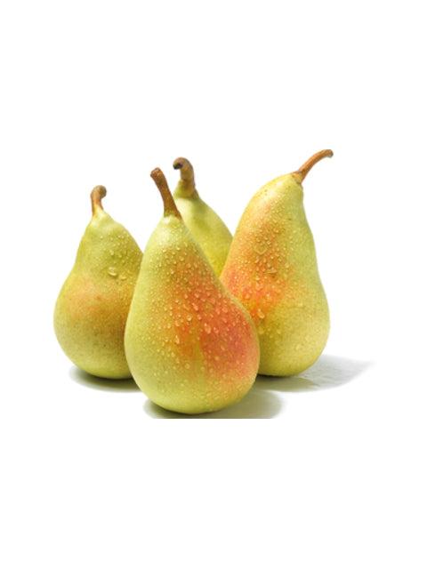 PERAL GENERAL LECRER 10L