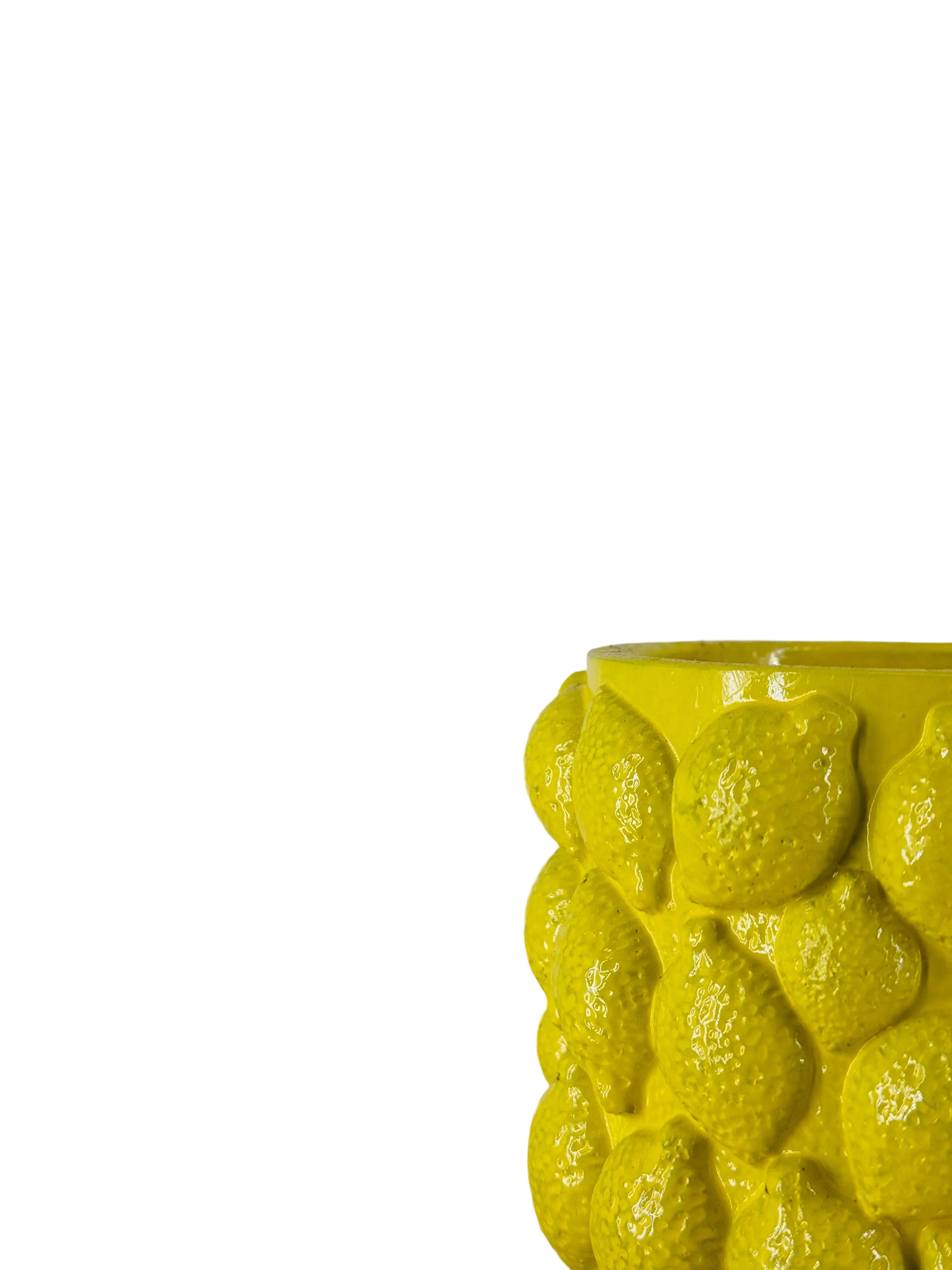 MACETA LIMONES