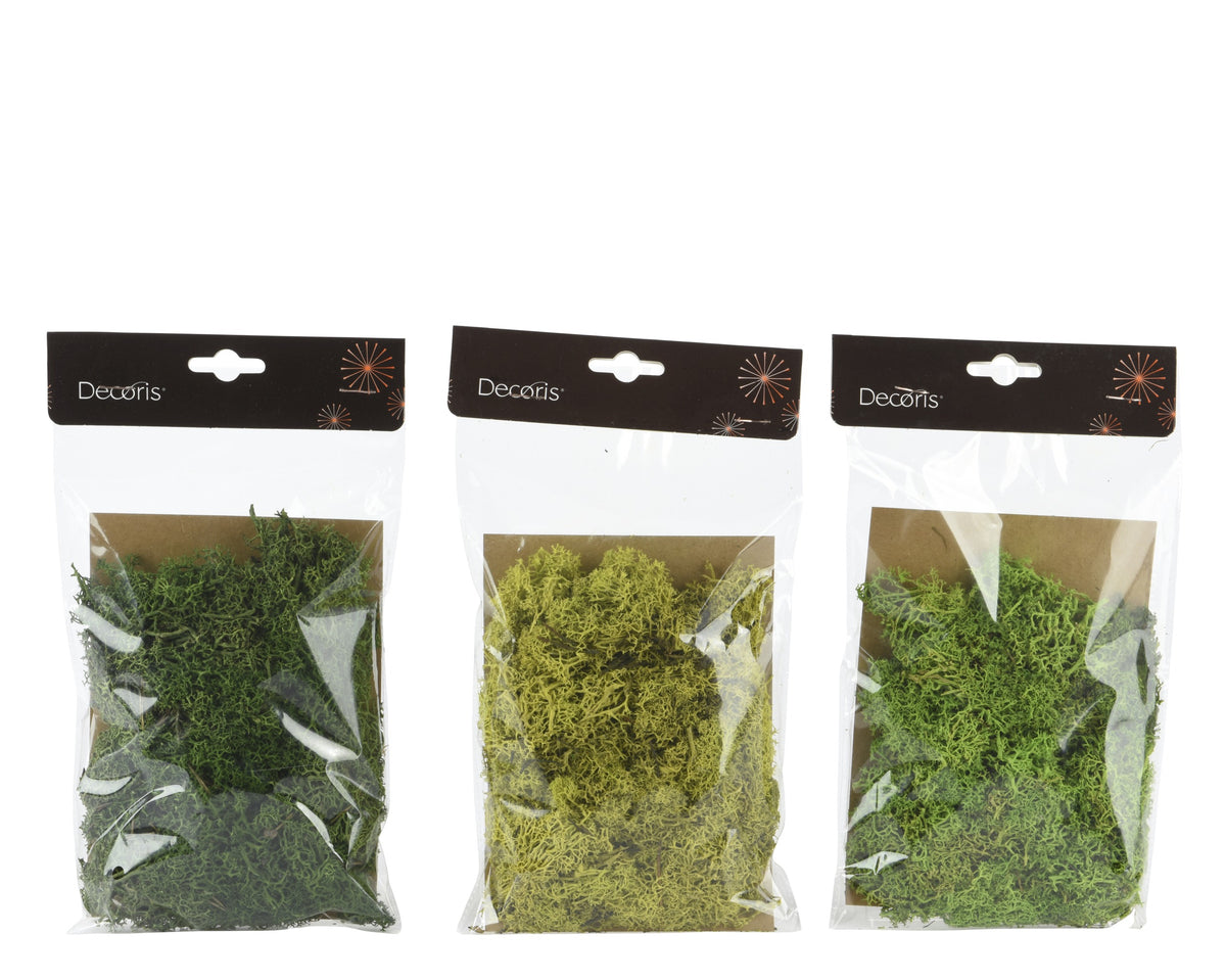 MOSS MOSS 3COL ASS GREEN/COLOUR(S) LARGO 25CM X ANCHO 15CM X ALTO 2CM