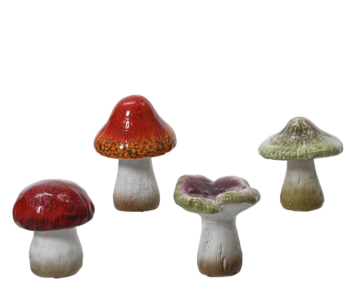 MUSHROOM TERRACOTTA 4ASS