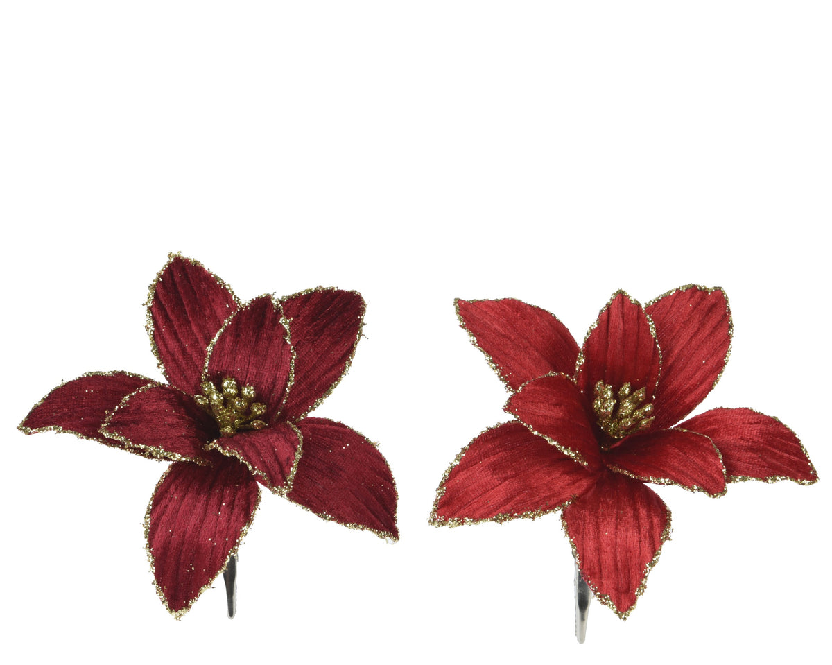 POINSETTIA POLYESTER VELVET ON CLIP 2COL ASS ASSORTED DIÁMETRO 13CM X ALTO 5CM