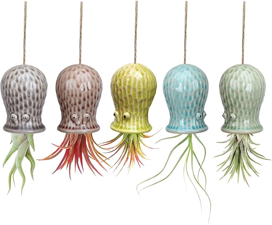 TILLANDSIA ANIMAL 7 X11 CMNEGRO
