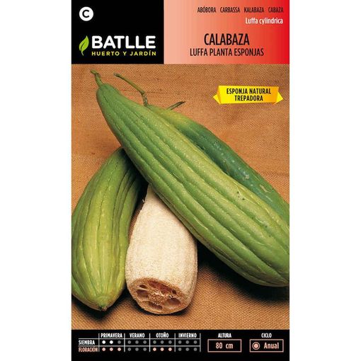 CALABAZA LUFFA PLANTA ESPONJAS