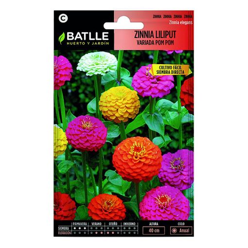 ZINNIA LILIPUT VARIADA POM POM
