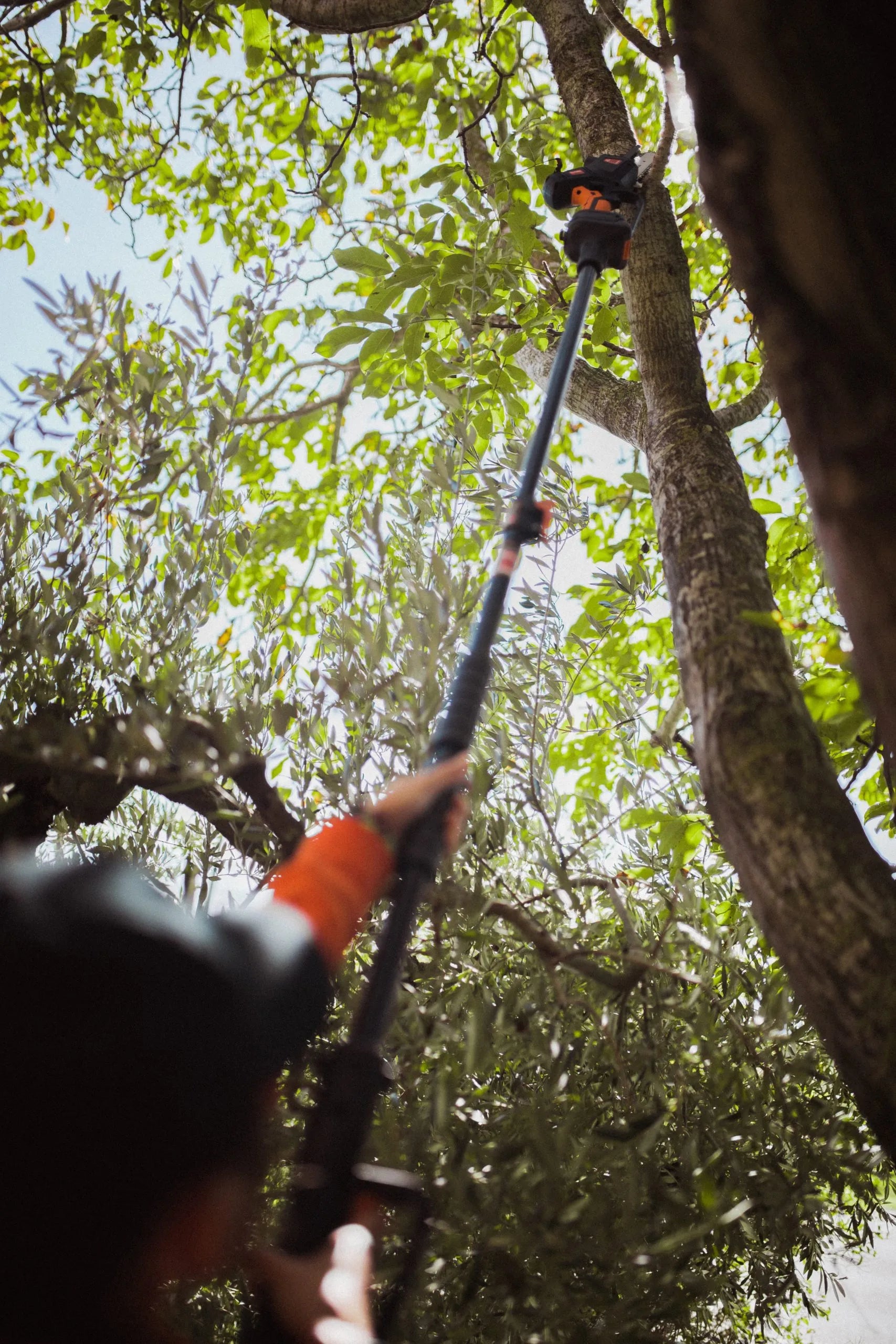 PERTIGA TELESCOPICA HASTA 250 CM