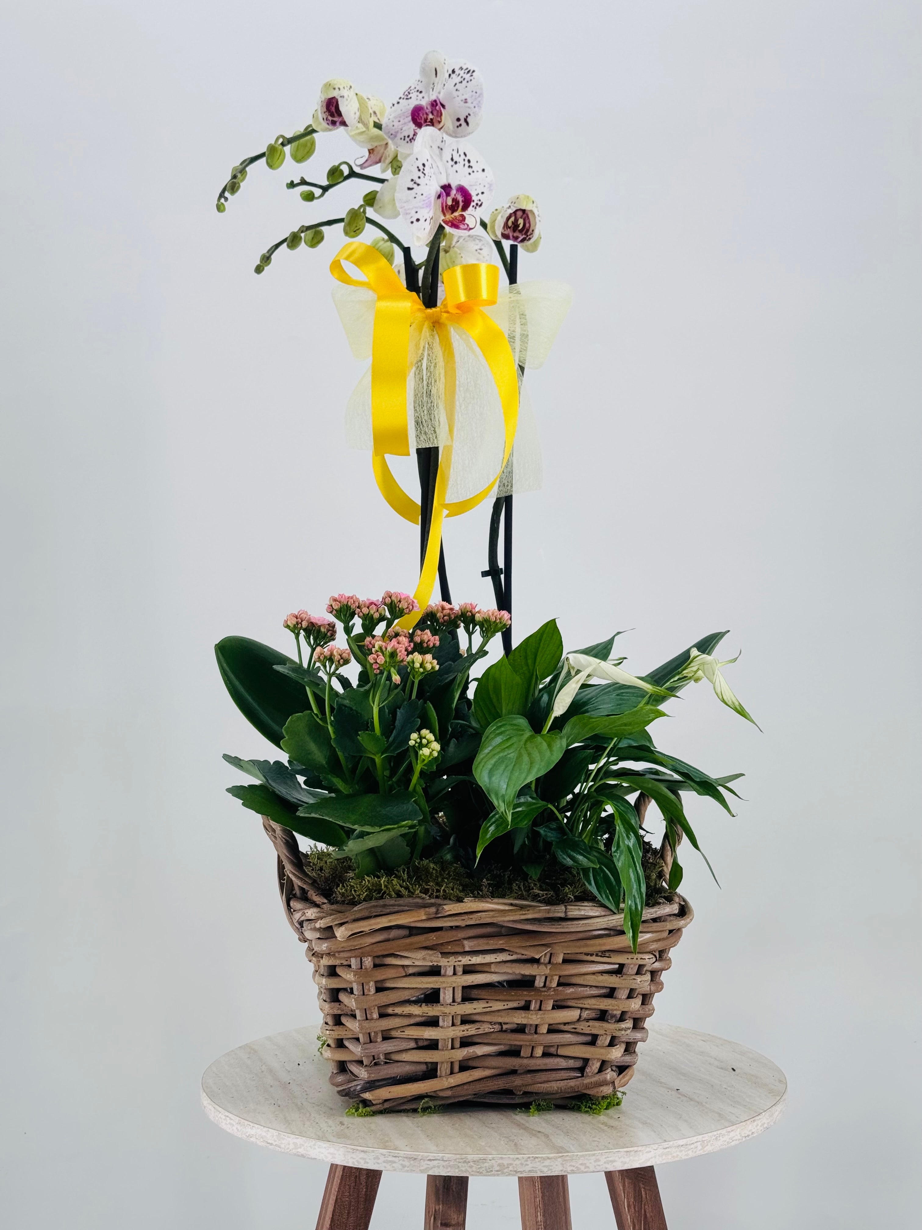 COMPOSICION FLOR 39,95