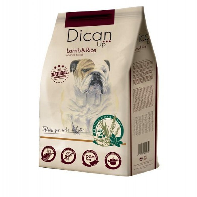 DICAN UP LAMB & RICE 3KG
