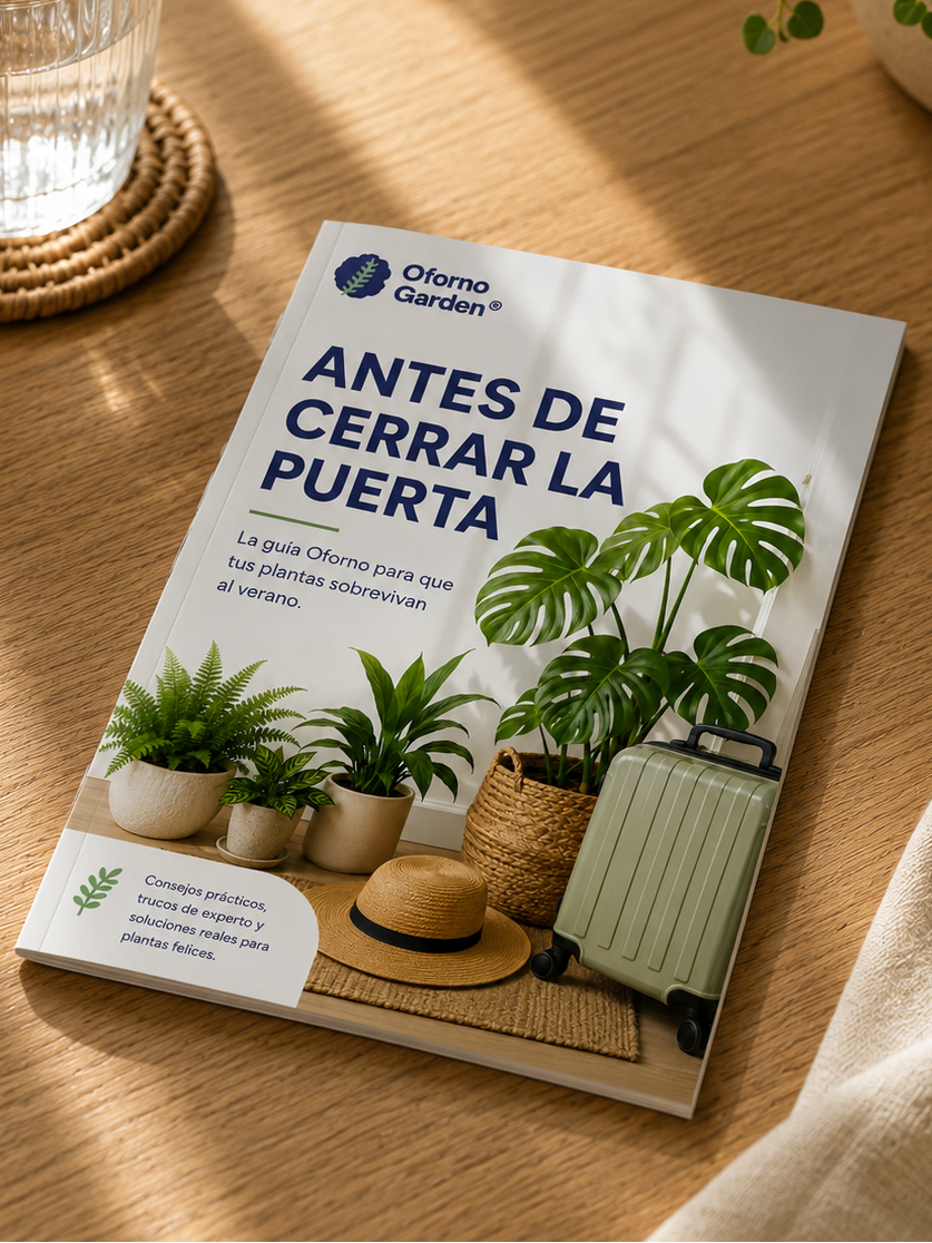 Guía de verano · Cuida tus plantas durante el calor y las vacaciones