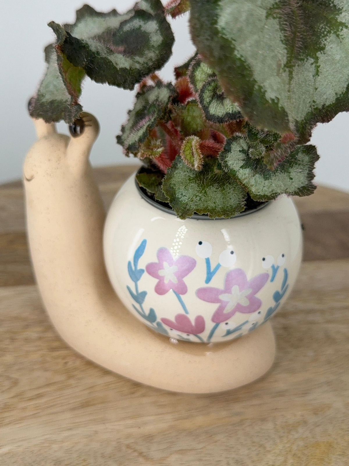 PLANTER DOLOMITE SNAIL MATTE BODY WITH SHINY BALL