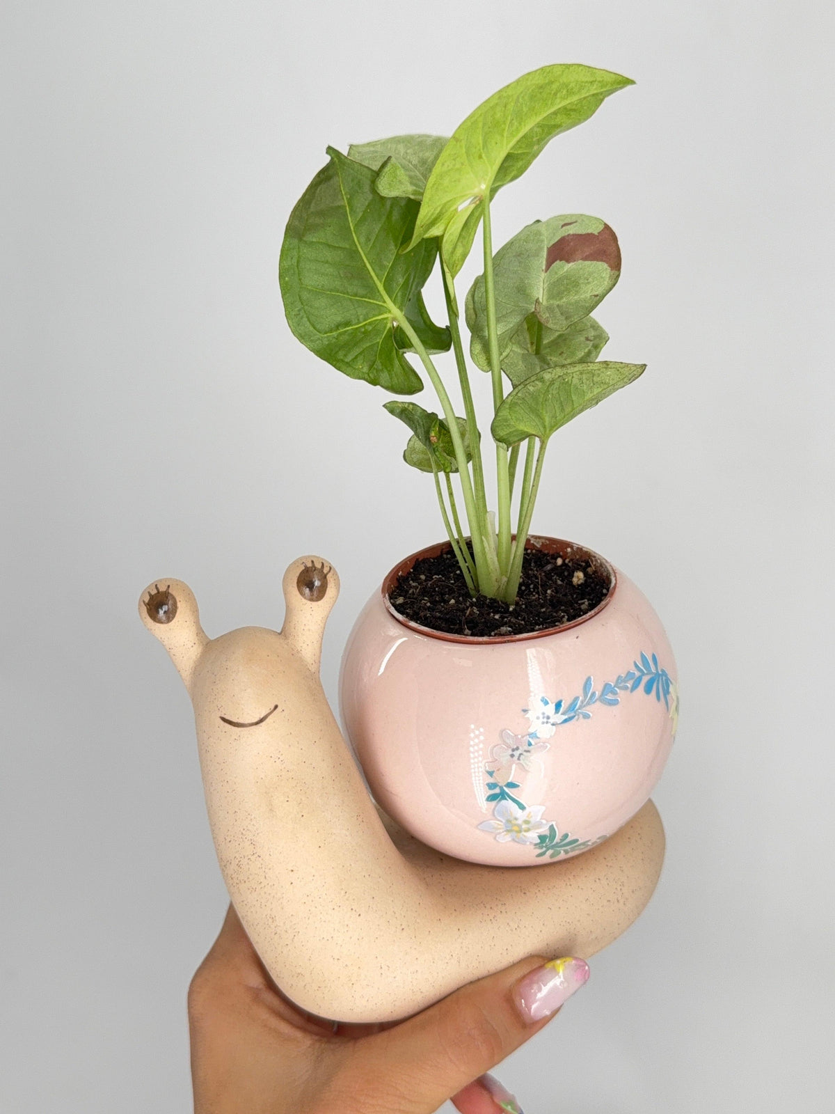 PLANTER DOLOMITE SNAIL MATTE BODY WITH SHINY BALL