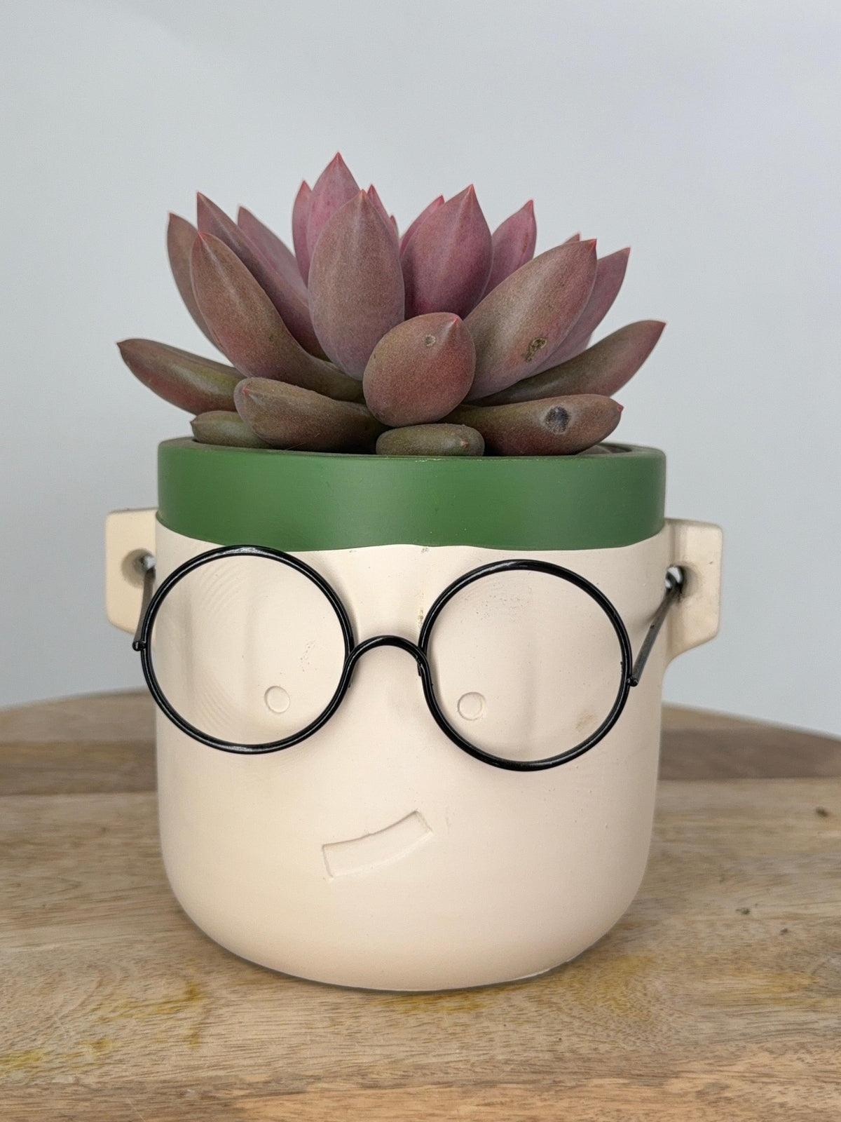 MACETA HARRY GAFAS M10.5