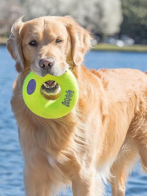 KONG AIRDOG SQUEAKER DONUT M