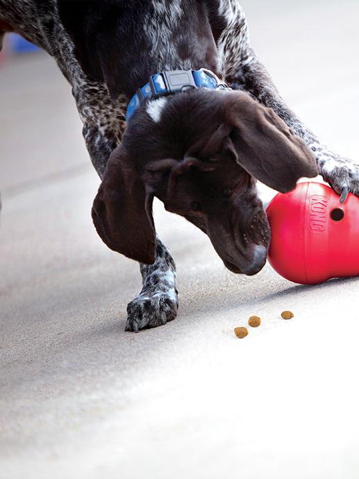 KONG WOBBLER 1-12KG