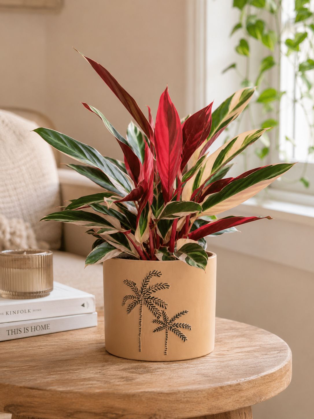 MACETA PALMERAS MARRON 17CM