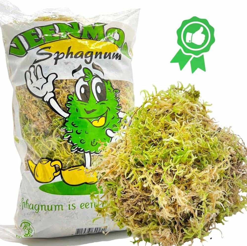 MOSS FLAT BAG 1KG VERDE