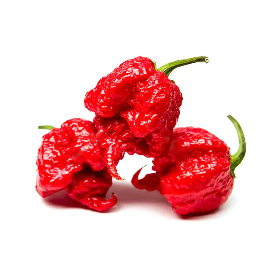 PIMIENTO PICANTE CAROLINA REA