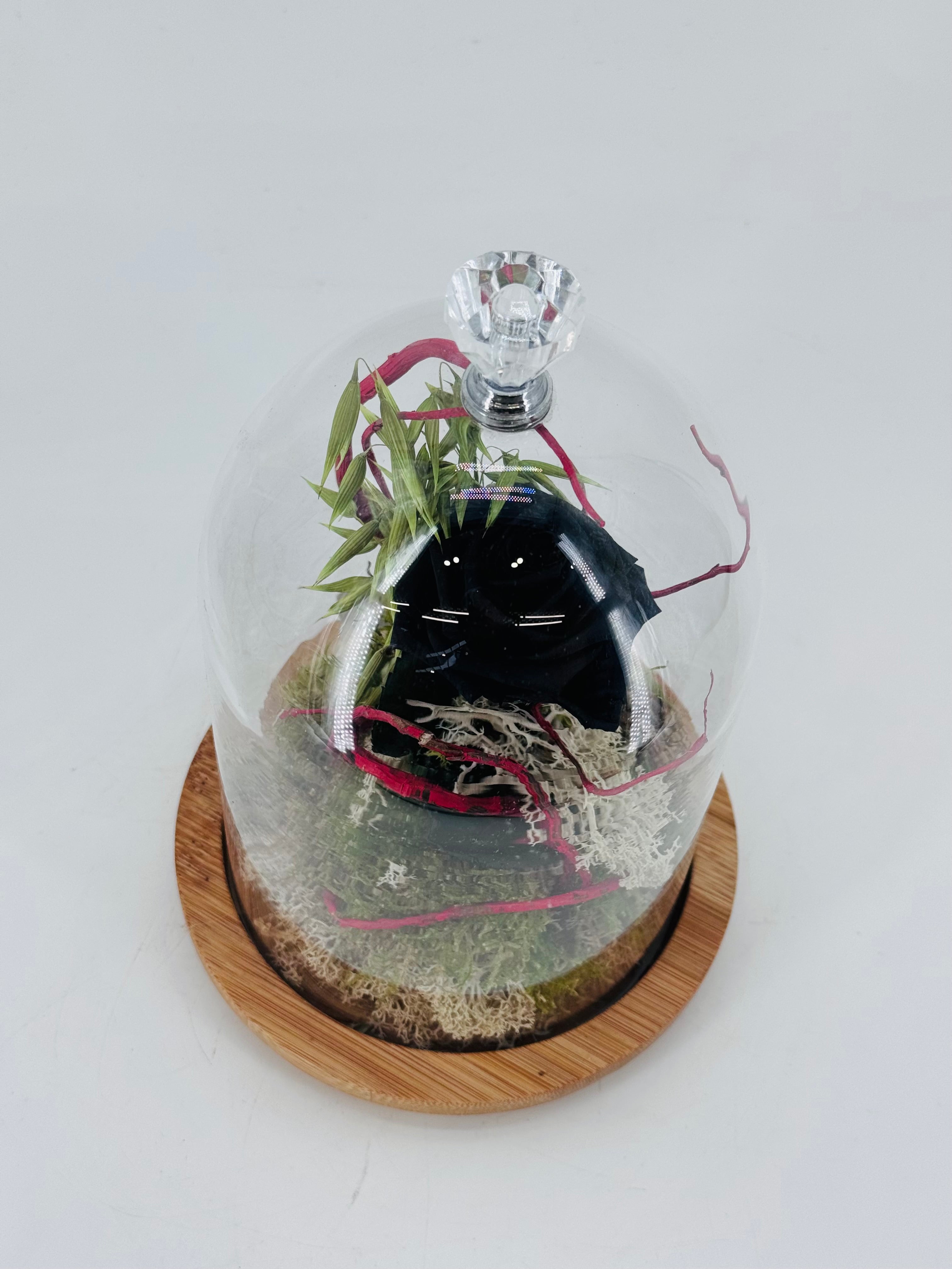 ROSA PRESERVADA PREPARADA EN CÚPULA 23CM