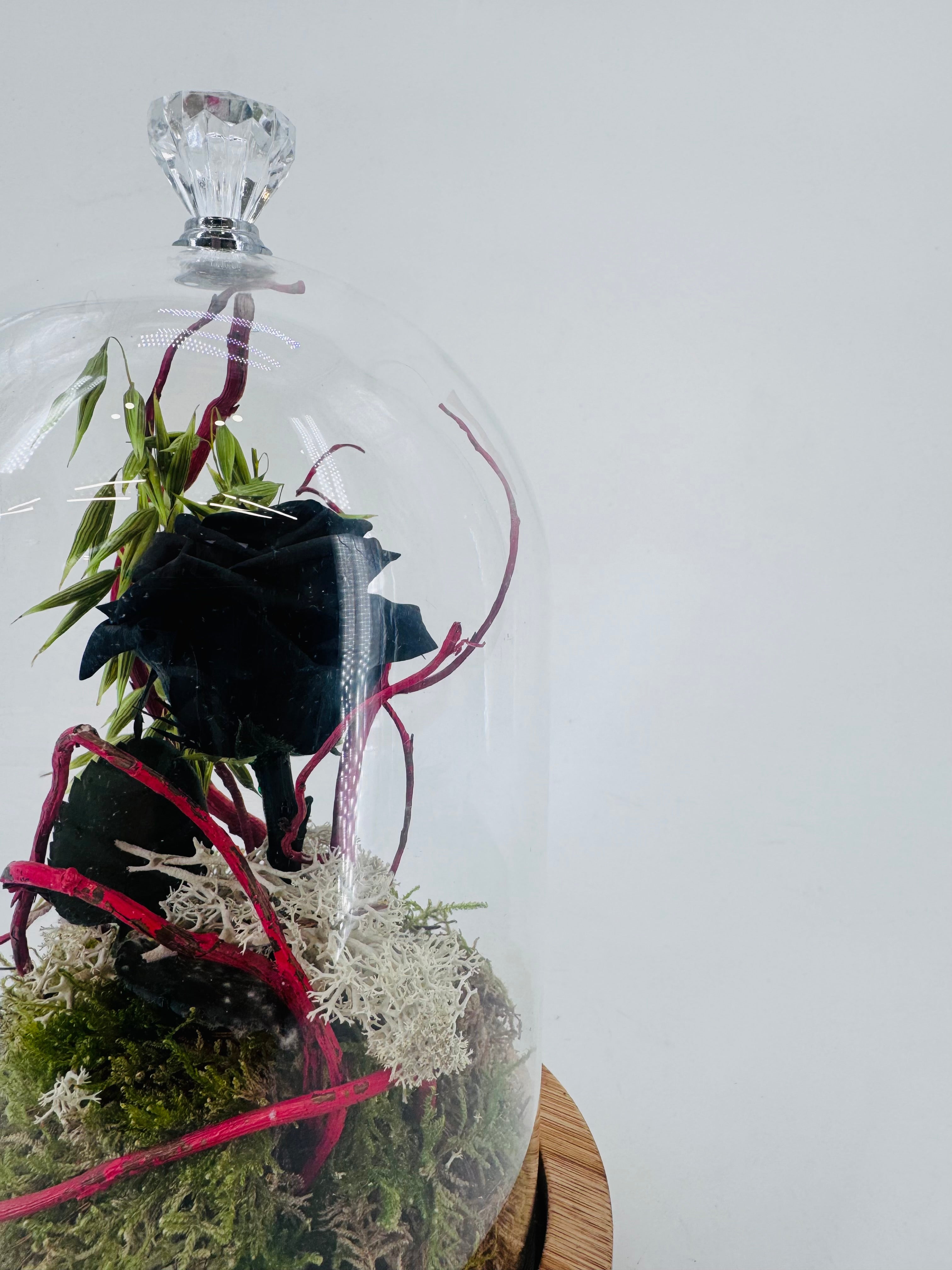 ROSA PRESERVADA PREPARADA EN CÚPULA 23CM