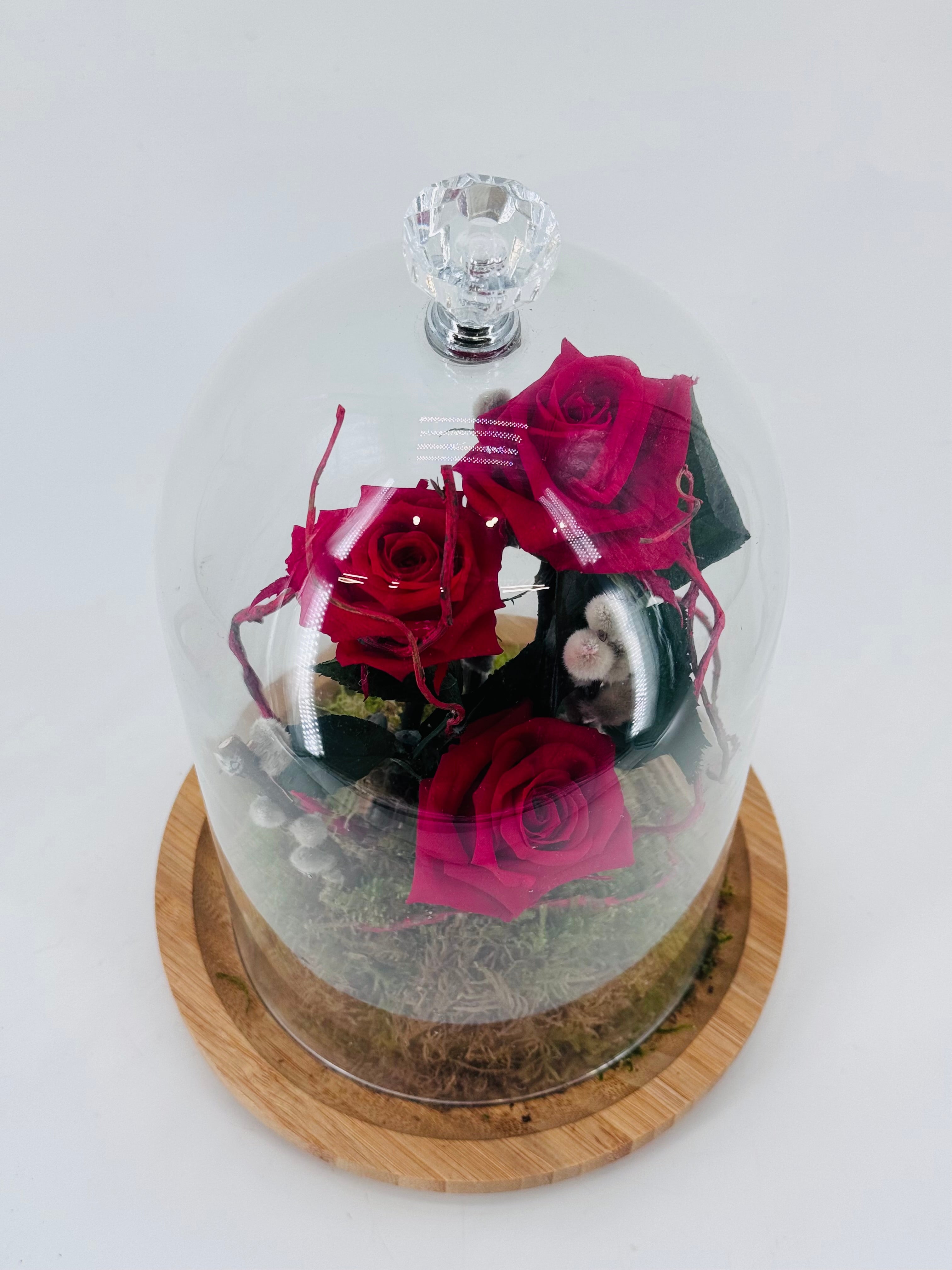 ROSA PRESERVADA PREPARADA EN CÚPULA 30CM
