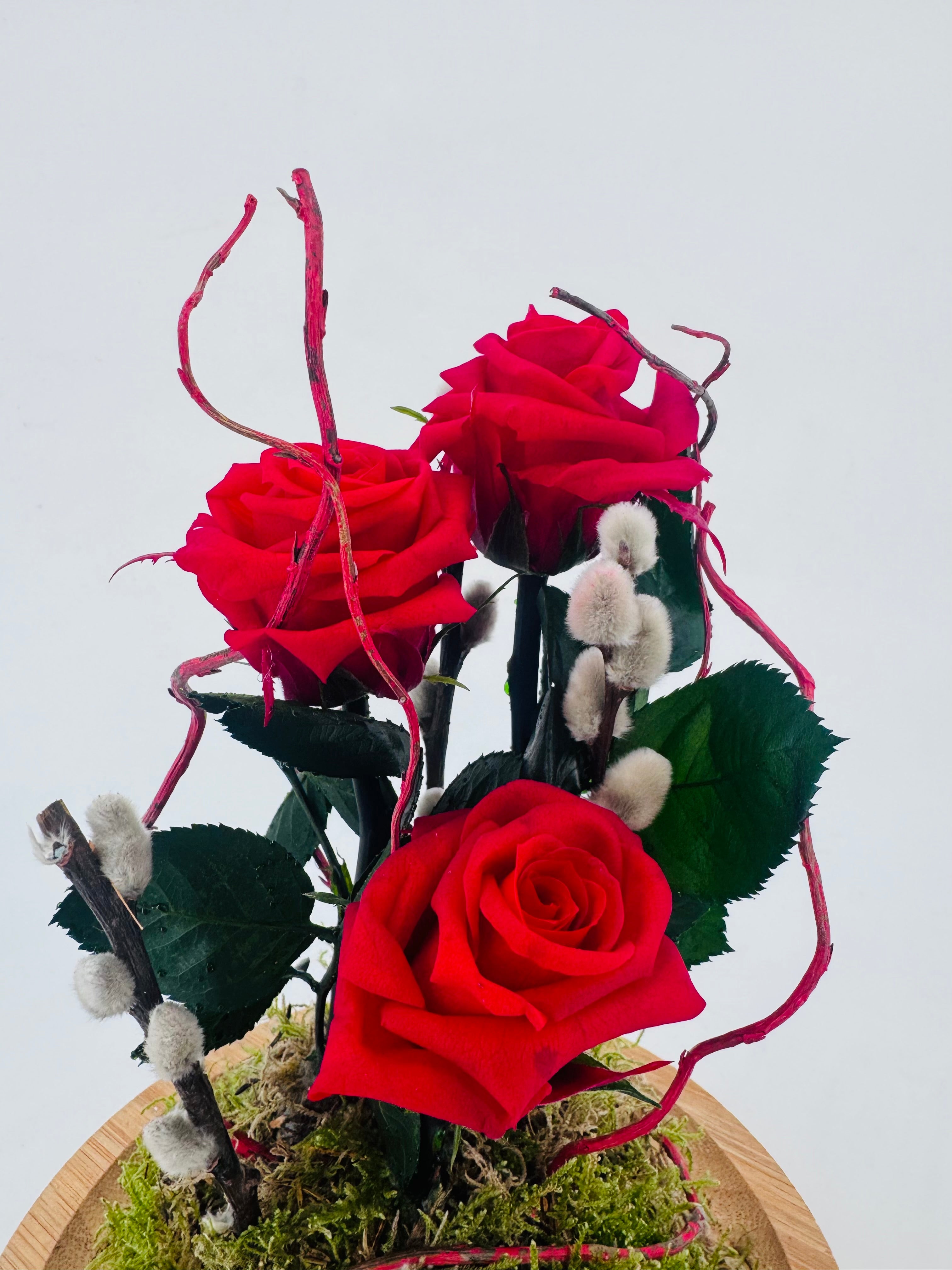 ROSA PRESERVADA PREPARADA EN CÚPULA 30CM