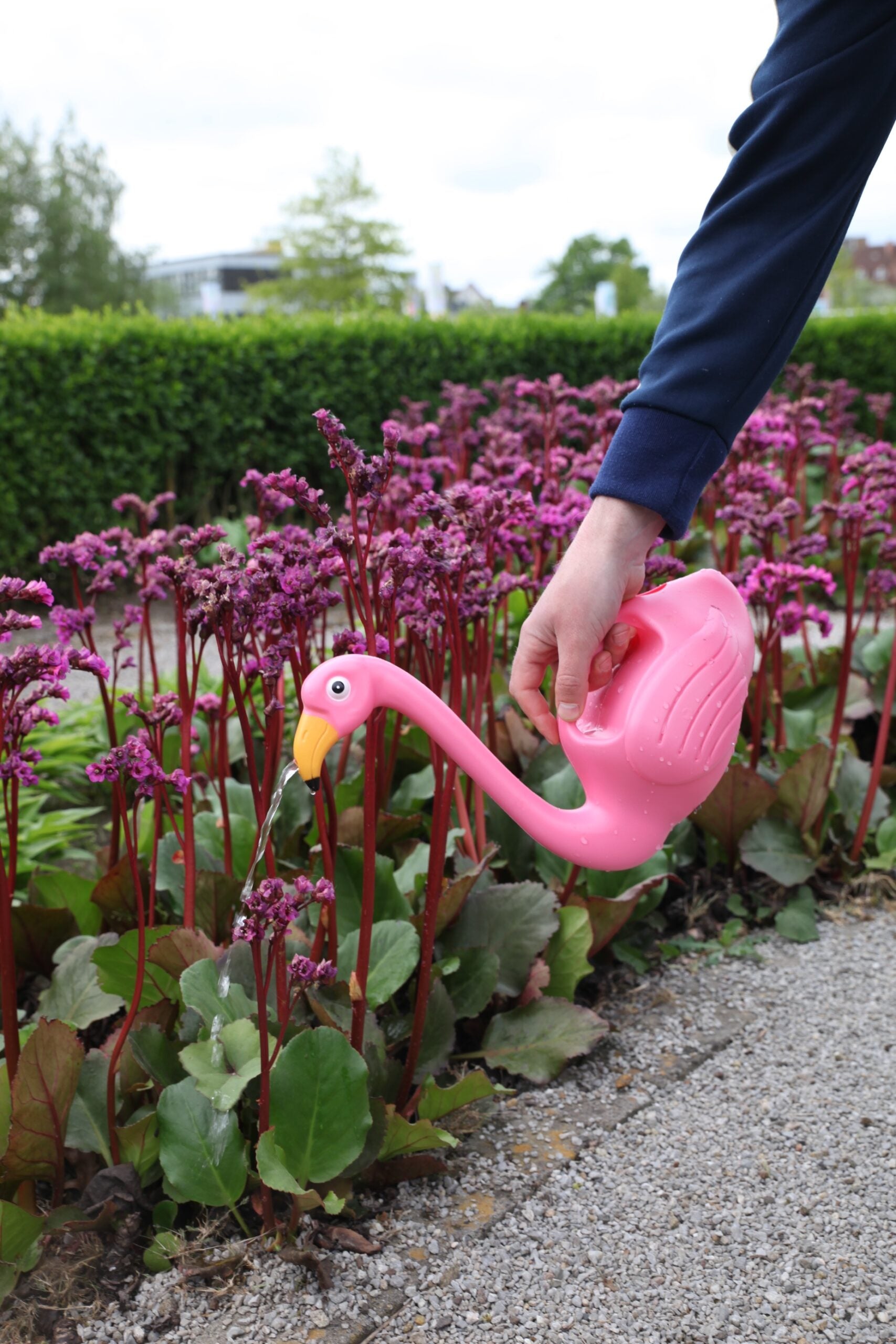 Flamingo watering can