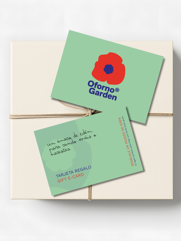 Tarjeta Regalo E-Gift Card