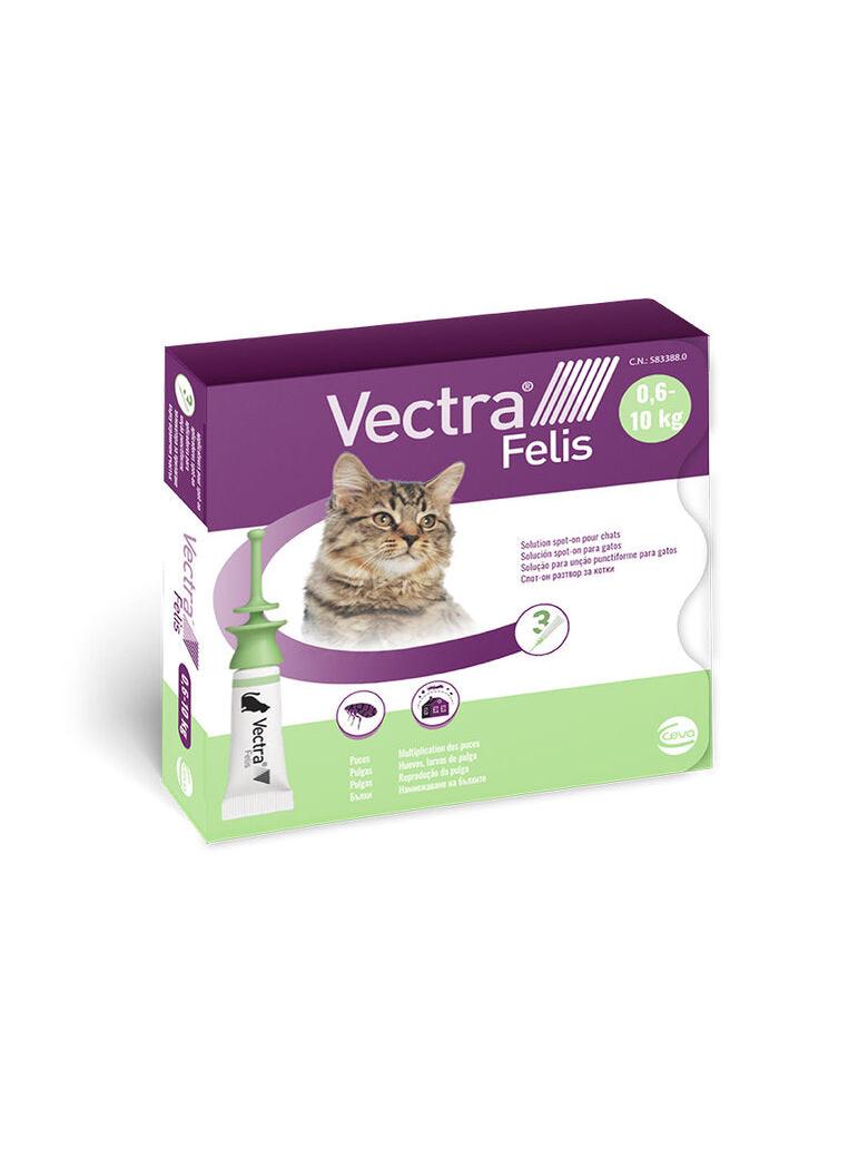 VECTRA FELIS 0,6-10KG 3PIP GATO PAQUETE