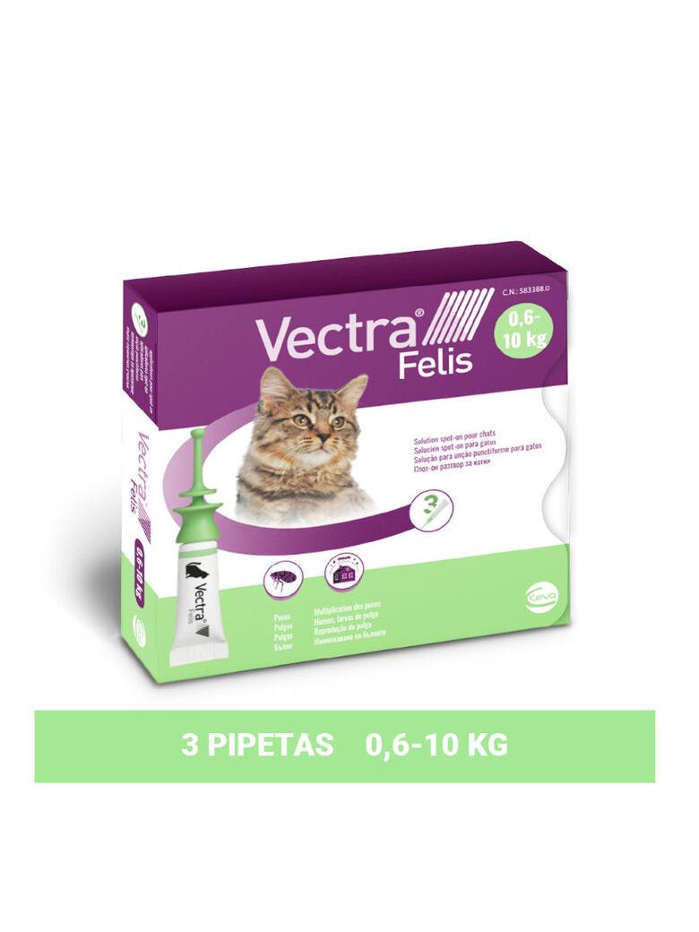 VECTRA FELIS 0,6-10KG 3PIP GATO PAQUETE