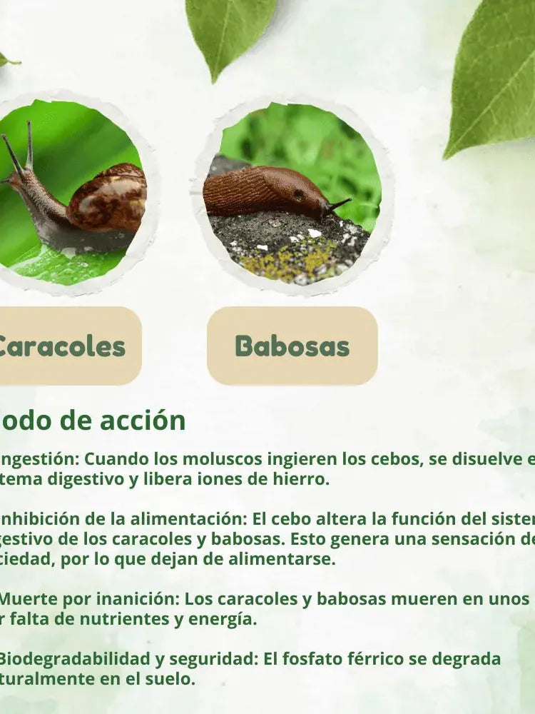 DOFF ANTILIMACOS Y CARACOLES 500GR