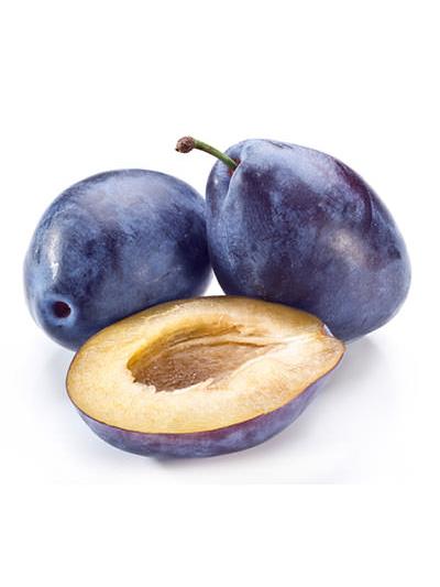 CIRUELO PRESIDENT 10L