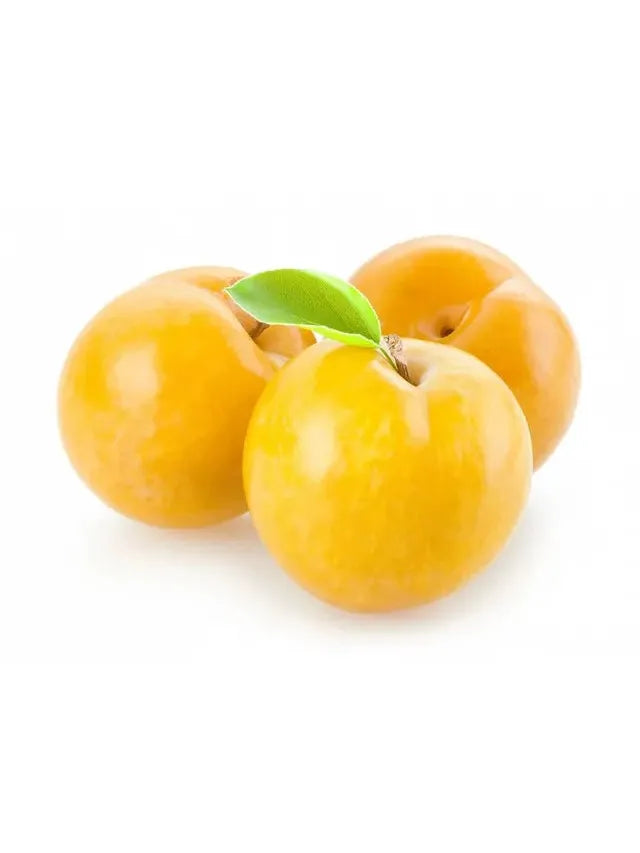 CIRUELO GOLDEN JAPAN 10L
