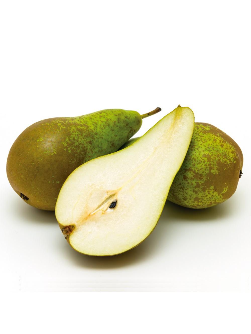 PERAL CONFERENCIA C25