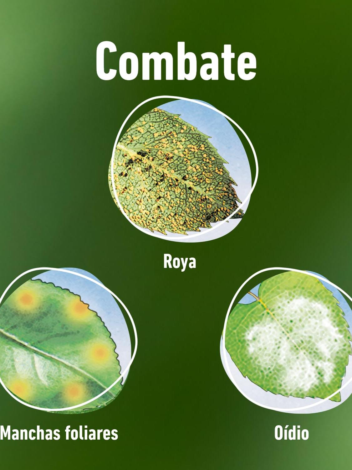 DUAXO FUNGICIDA POLIVALENTE 750ML