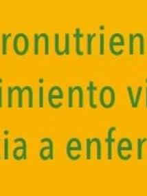 FERTILIZANTE LIQUIDO UNIVERSAL 1300ML